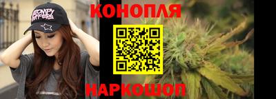 дмт Будённовск