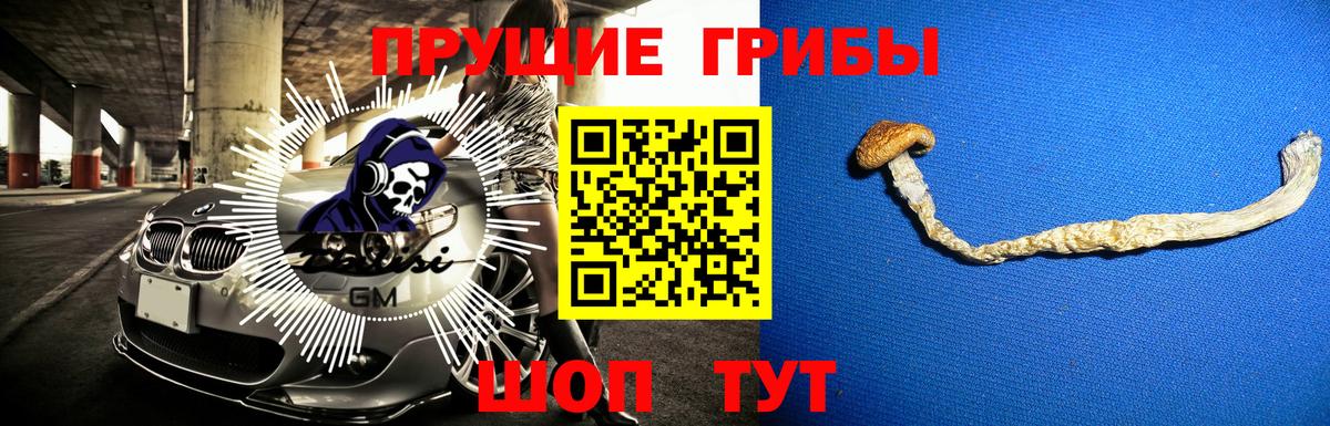 Коряжма  Галлюциногенные грибы Magic Shrooms  сколько стоит  Вход с VPN 